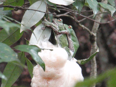 f:id:chuumeikun:20160608023406j:plain