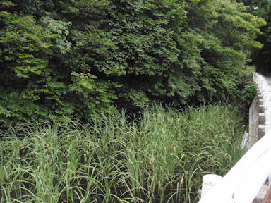 f:id:chuumeikun:20160608023555j:plain