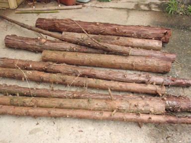 f:id:chuumeikun:20160608025044j:plain