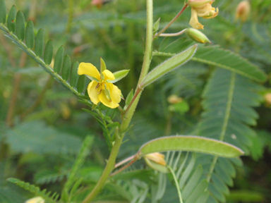 f:id:chuumeikun:20160720005754j:plain f:id:chuumeikun:20160720005754j:plain