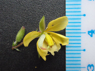 f:id:chuumeikun:20160720005808j:plain f:id:chuumeikun:20160720005808j:plain