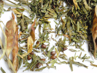 f:id:chuumeikun:20160720005853j:plain f:id:chuumeikun:20160720005853j:plain