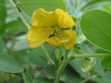 f:id:chuumeikun:20160720010018j:plain f:id:chuumeikun:20160720010018j:plain