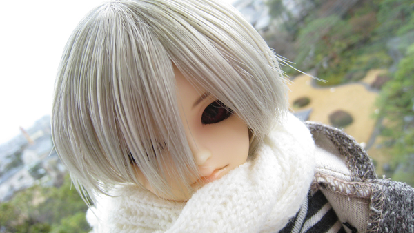 スーパードルフィー sd17ボディ 普通肌 スーパードルフィー 17少年