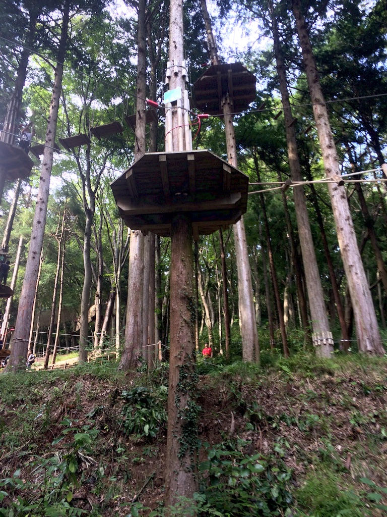 f:id:cinemakaeru:20150926180757j:image f:id:cinemakaeru:20150926180757j:image