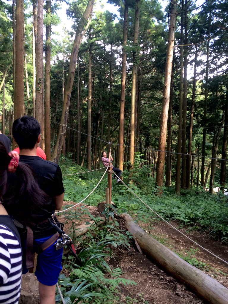 f:id:cinemakaeru:20150926181345j:image f:id:cinemakaeru:20150926181345j:image