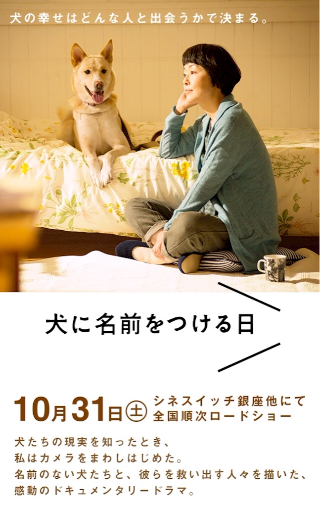 f:id:cinemakaeru:20151022210309j:image f:id:cinemakaeru:20151022210309j:image