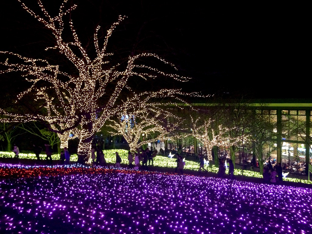 f:id:cinemakaeru:20151123115937j:image f:id:cinemakaeru:20151123115937j:image