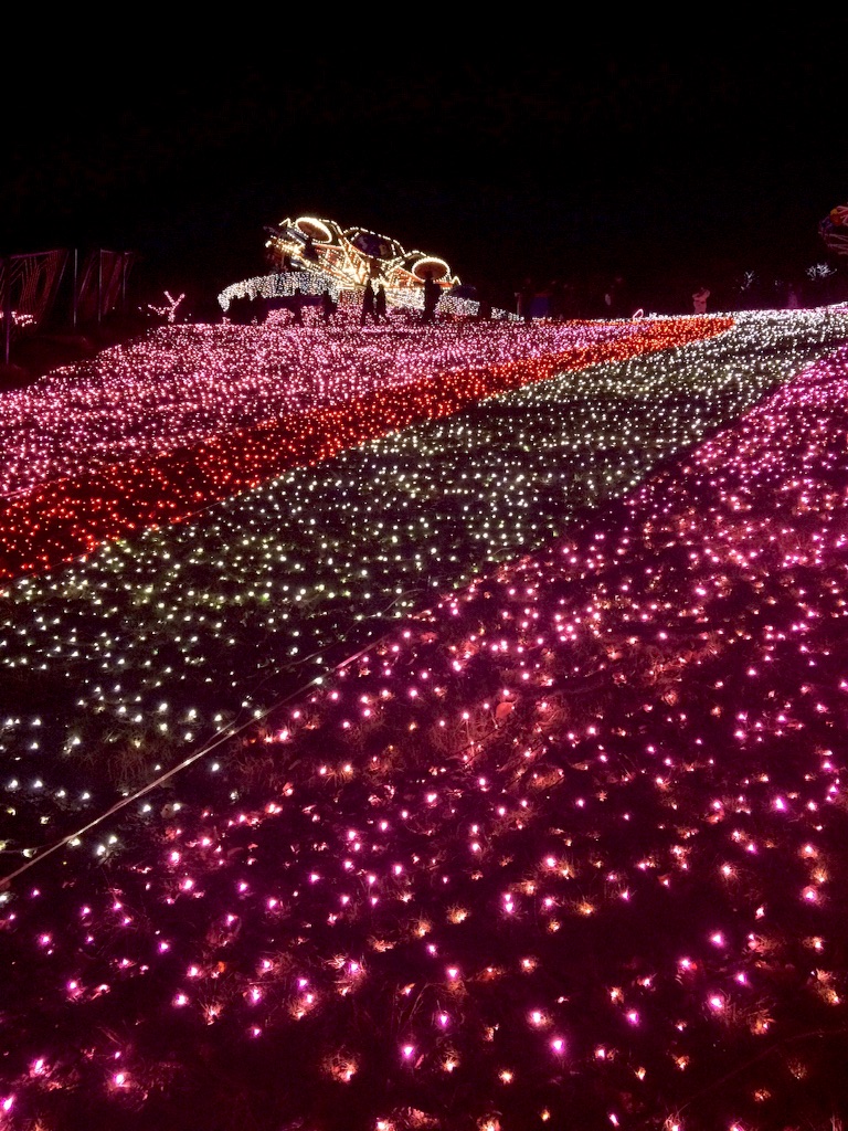 f:id:cinemakaeru:20151123124619j:image f:id:cinemakaeru:20151123124619j:image