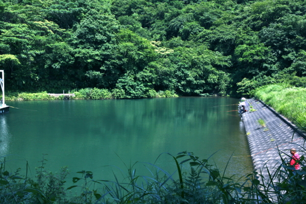 f:id:cippillo:20110715113355j:plain