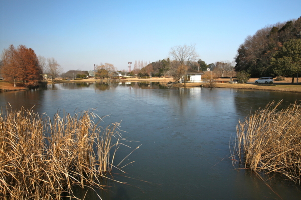 f:id:cippillo:20120104115954j:image f:id:cippillo:20120104115954j:image