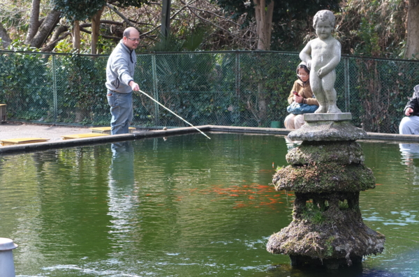 f:id:cippillo:20120212123726j:image f:id:cippillo:20120212123726j:image