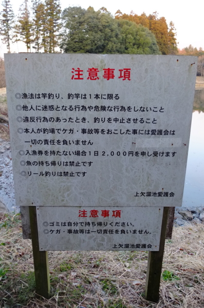 f:id:cippillo:20120416214347j:image