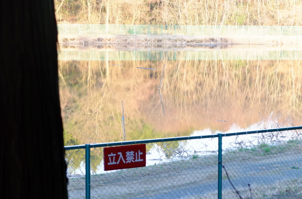 f:id:cippillo:20120416215146j:image