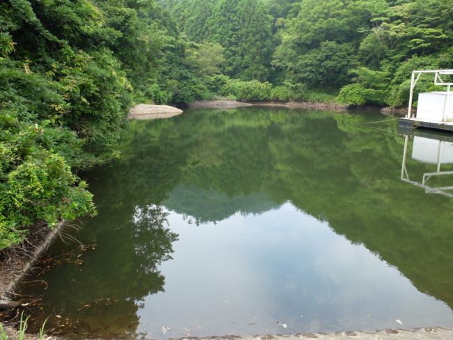 f:id:cippillo:20130620110229j:plain