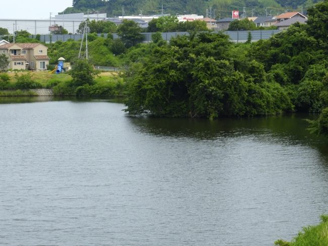 f:id:cippillo:20130627190207j:plain f:id:cippillo:20130627190207j:plain