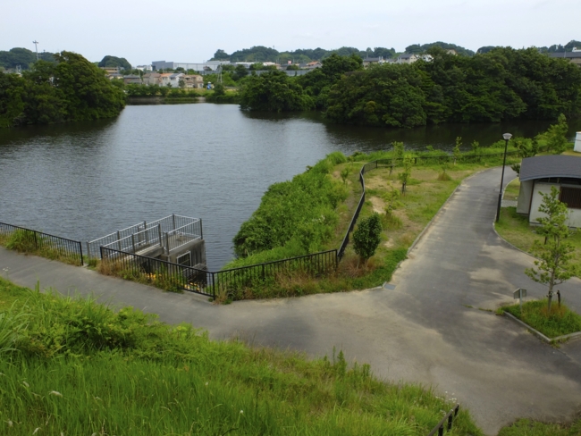 f:id:cippillo:20130627190208j:plain f:id:cippillo:20130627190208j:plain