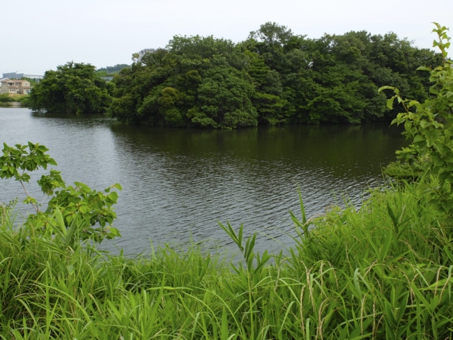 f:id:cippillo:20130627190209j:plain f:id:cippillo:20130627190209j:plain