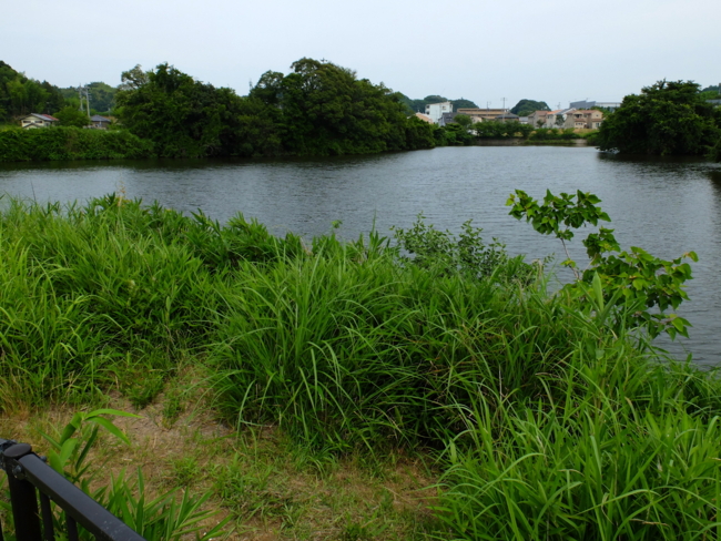 f:id:cippillo:20130627190211j:plain f:id:cippillo:20130627190211j:plain