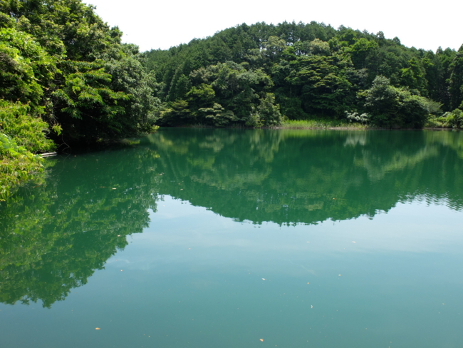 f:id:cippillo:20130713150956j:plain f:id:cippillo:20130713150956j:plain