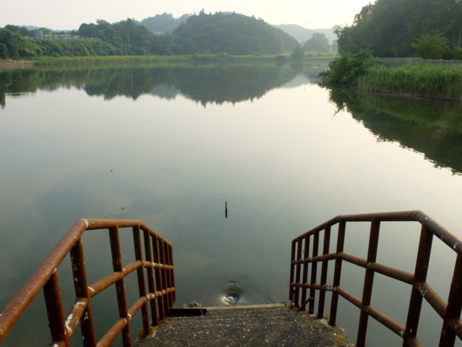 f:id:cippillo:20130801210029j:plain f:id:cippillo:20130801210029j:plain