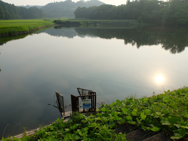 f:id:cippillo:20130801210030j:plain f:id:cippillo:20130801210030j:plain