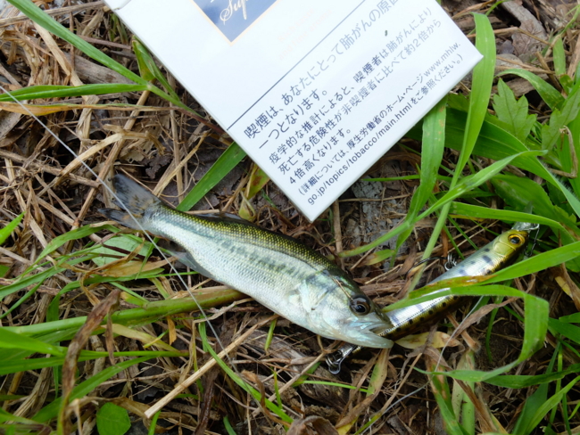 f:id:cippillo:20130801210034j:plain f:id:cippillo:20130801210034j:plain