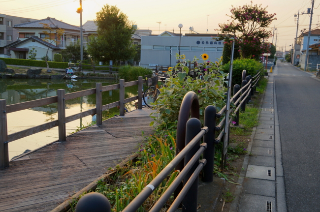 f:id:cippillo:20130831174130j:plain