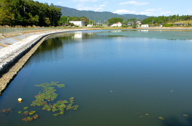 池順鐸　水指？見事な逸品 楽天市場】【無料☆特典付】立水栓 不凍水栓柱 カクダイ KAKUDAI
