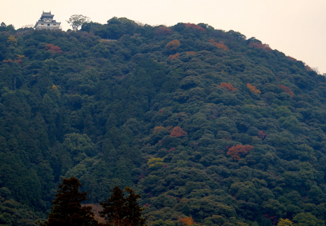 f:id:cippillo:20131210001958j:plain