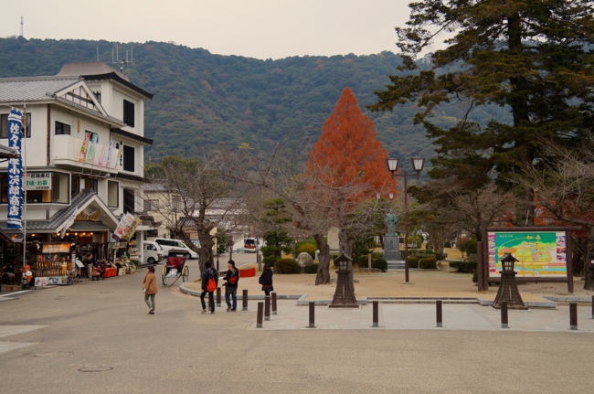 f:id:cippillo:20131210002003j:plain