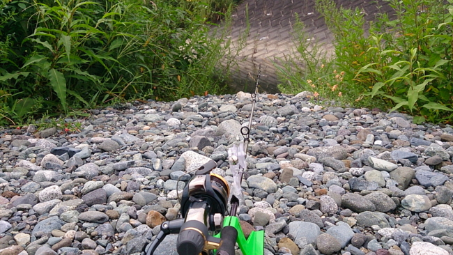 f:id:cippillo:20131219153359j:plain