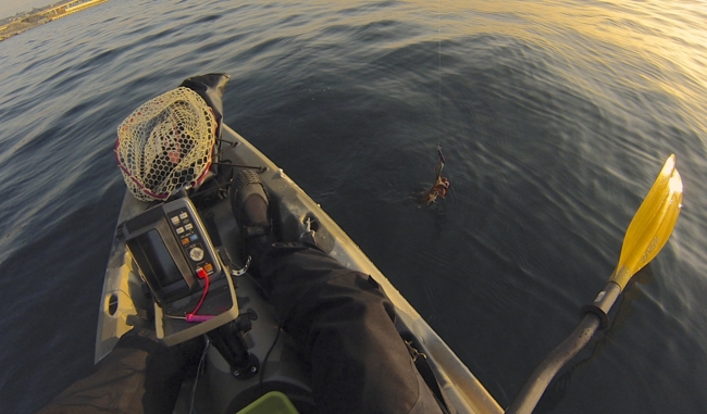 f:id:cippillo:20131219153406j:plain