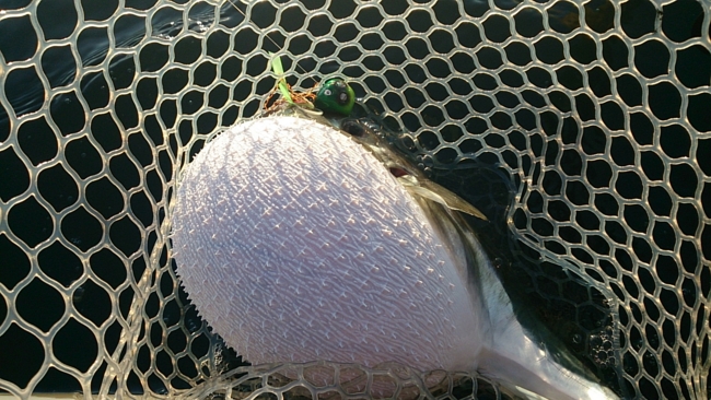 f:id:cippillo:20131219153409j:plain