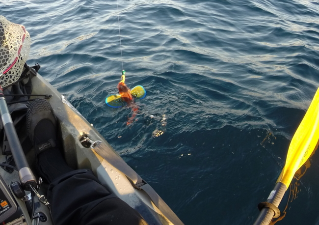 f:id:cippillo:20131219153411j:plain