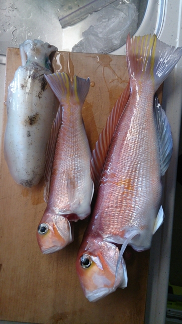 f:id:cippillo:20131219153413j:plain