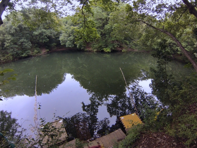 f:id:cippillo:20131219153617j:plain