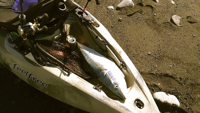 f:id:cippillo:20131219200521j:plain