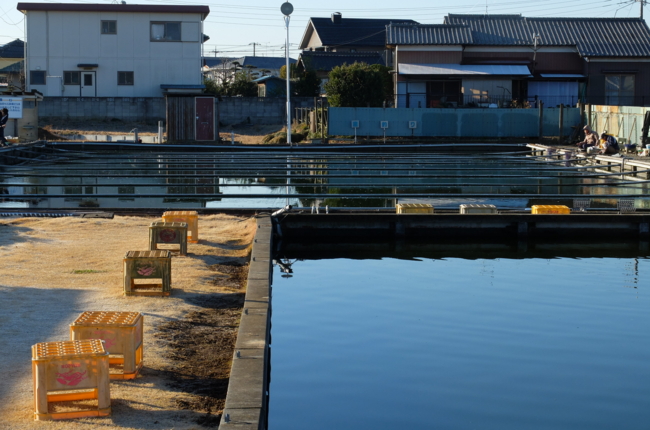 f:id:cippillo:20140109094601j:plain f:id:cippillo:20140109094601j:plain