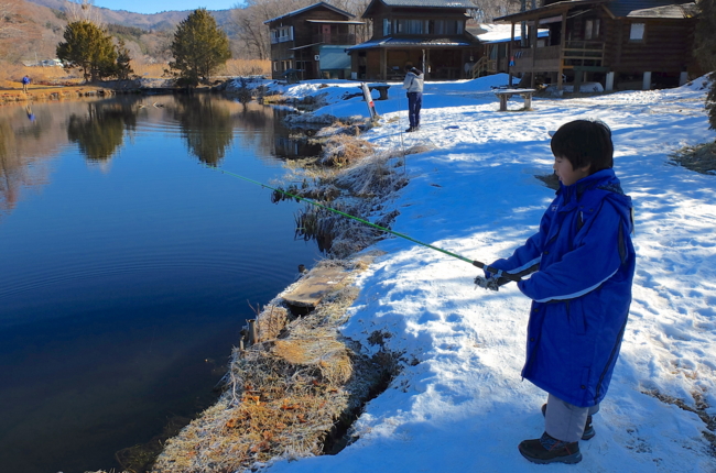 f:id:cippillo:20140202115732j:plain f:id:cippillo:20140202115732j:plain