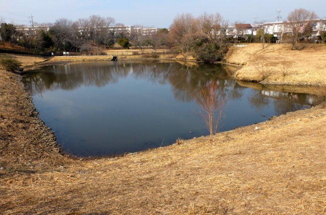 f:id:cippillo:20140204100858j:plain