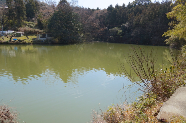 f:id:cippillo:20140322133401j:plain