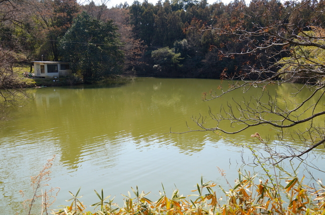 f:id:cippillo:20140322133402j:plain