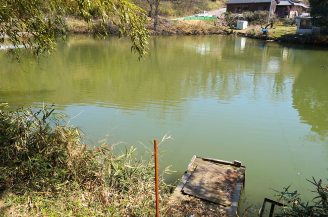 f:id:cippillo:20140322133403j:plain