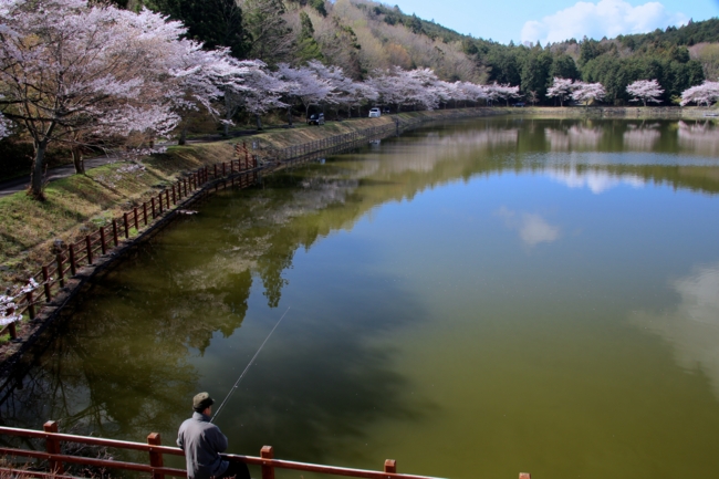 f:id:cippillo:20140407083954j:plain