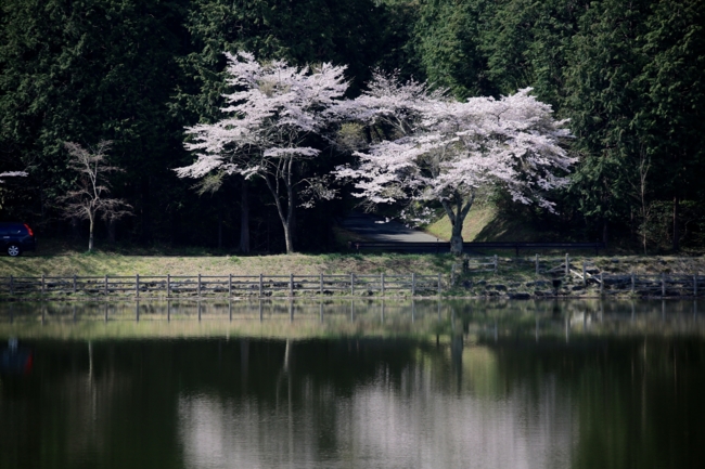 f:id:cippillo:20140407083955j:plain