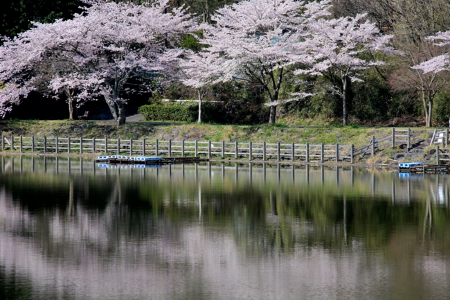 f:id:cippillo:20140407083957j:plain