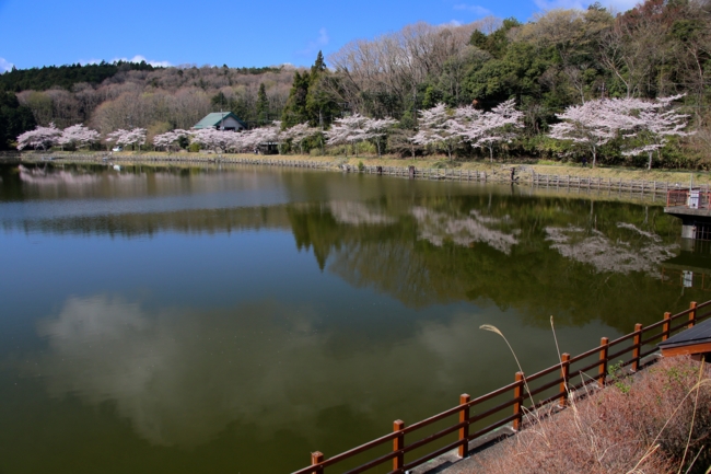 f:id:cippillo:20140407083958j:plain