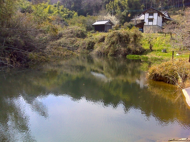 f:id:cippillo:20140407084001j:plain