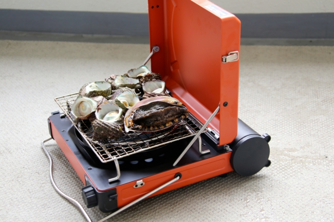 f:id:cippillo:20140515180638j:plain